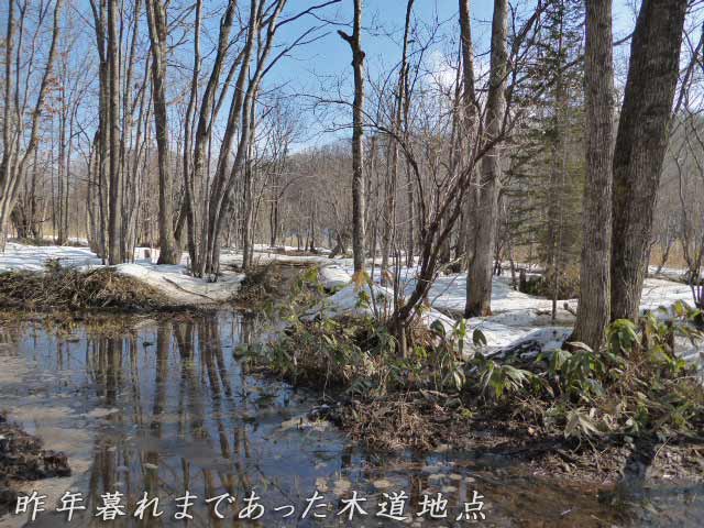 以前木道があった地点