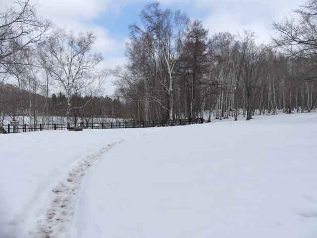 雪道