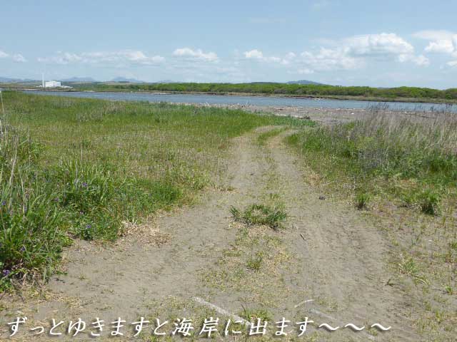 はまなすの丘公園、石狩川