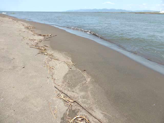 はまなすの丘公園、海岸線