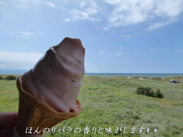 はまなすの丘公園、はまなすソフトクリーム