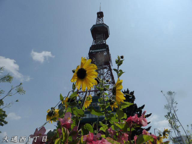 大通花壇コンクール、