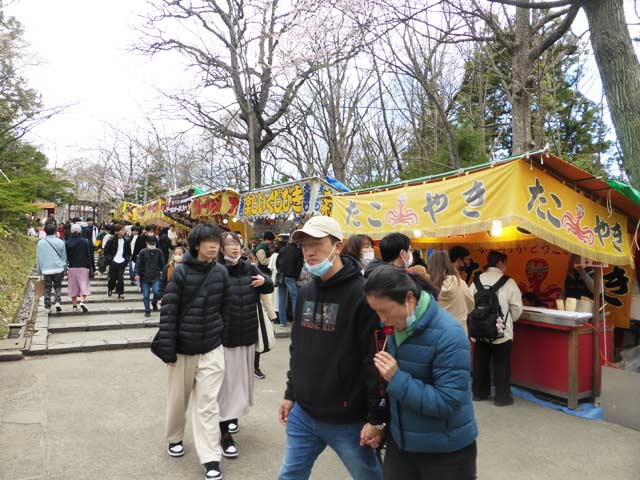 北海道神宮、屋台、たこやき