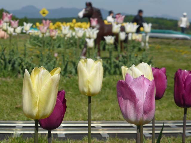 ミニ鉄道、はやぶさ