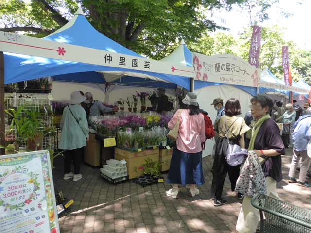 仲里園芸