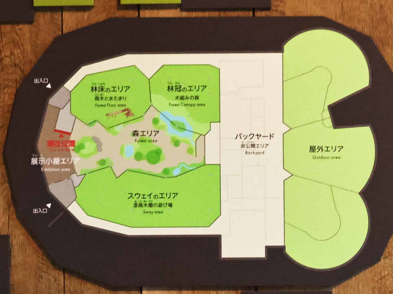 オランウータンとボルネオの森 、案内図