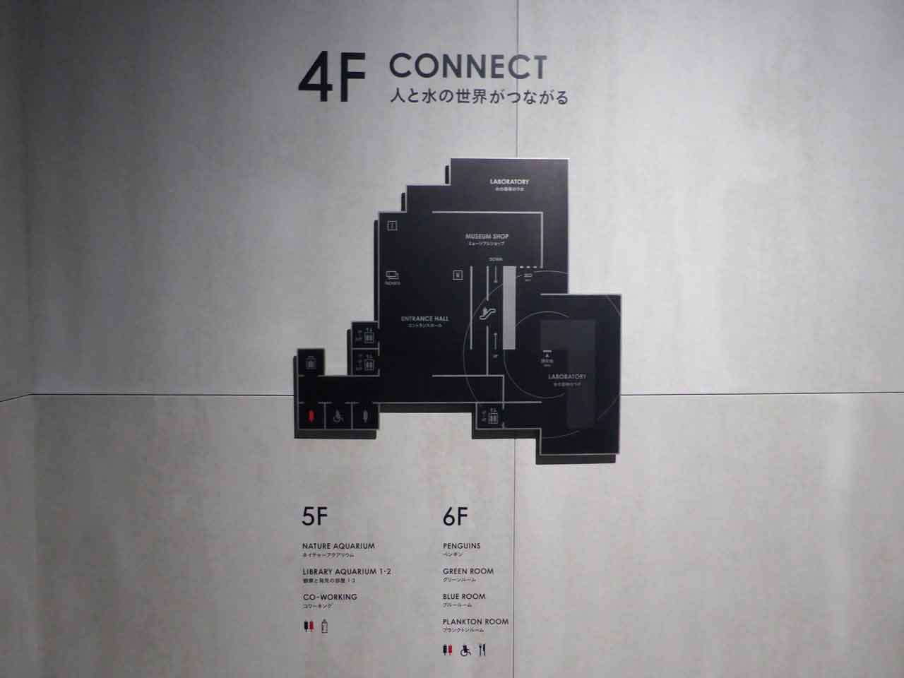 4F CONTACT