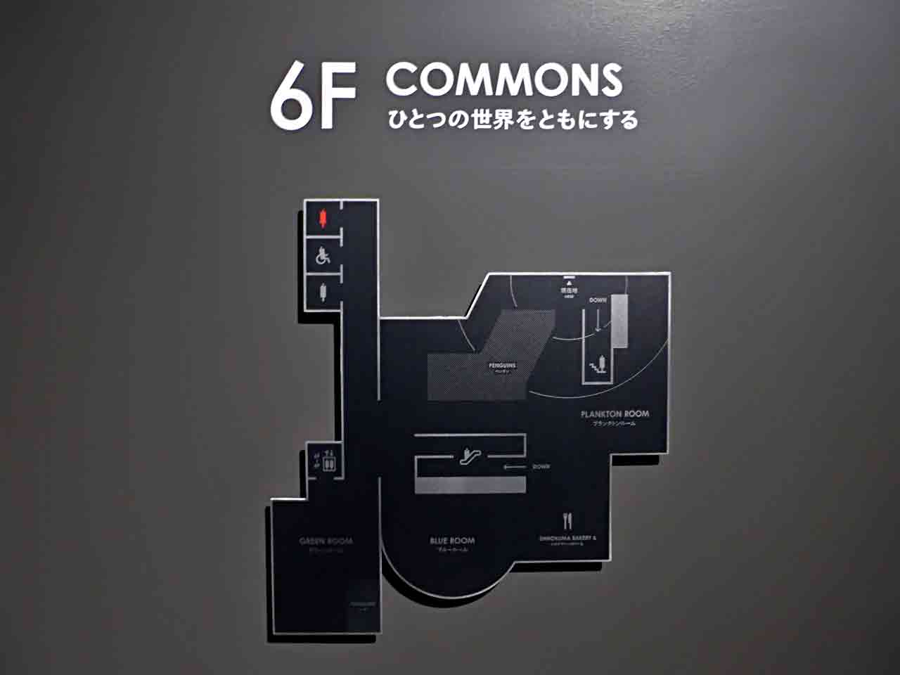 6F COMMONS