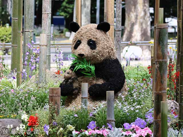 大通花壇コンクール