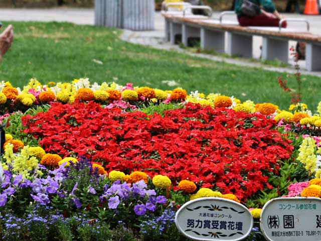 大通花壇コンクール