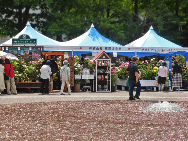 花市場会場