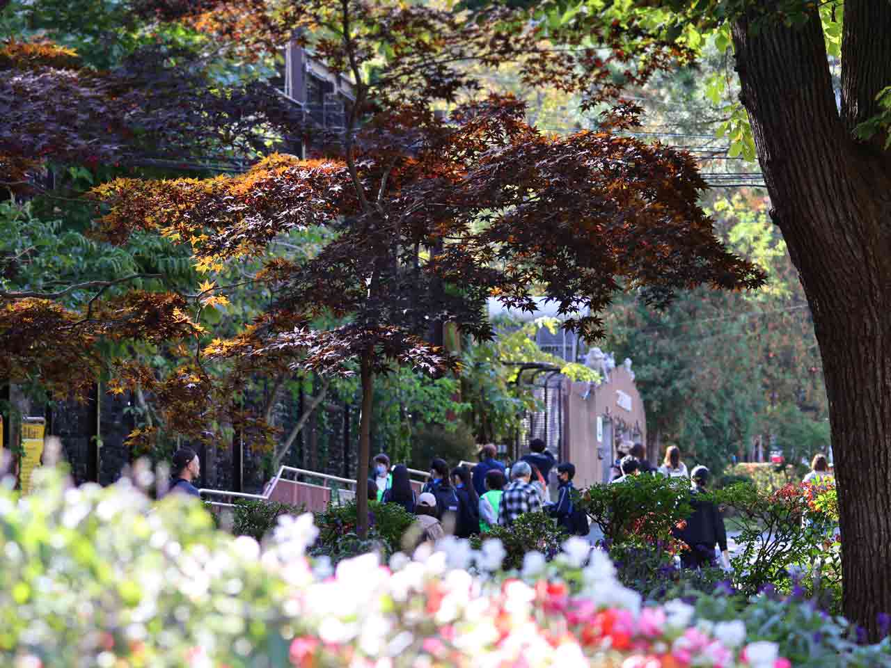 円山動物園、園内