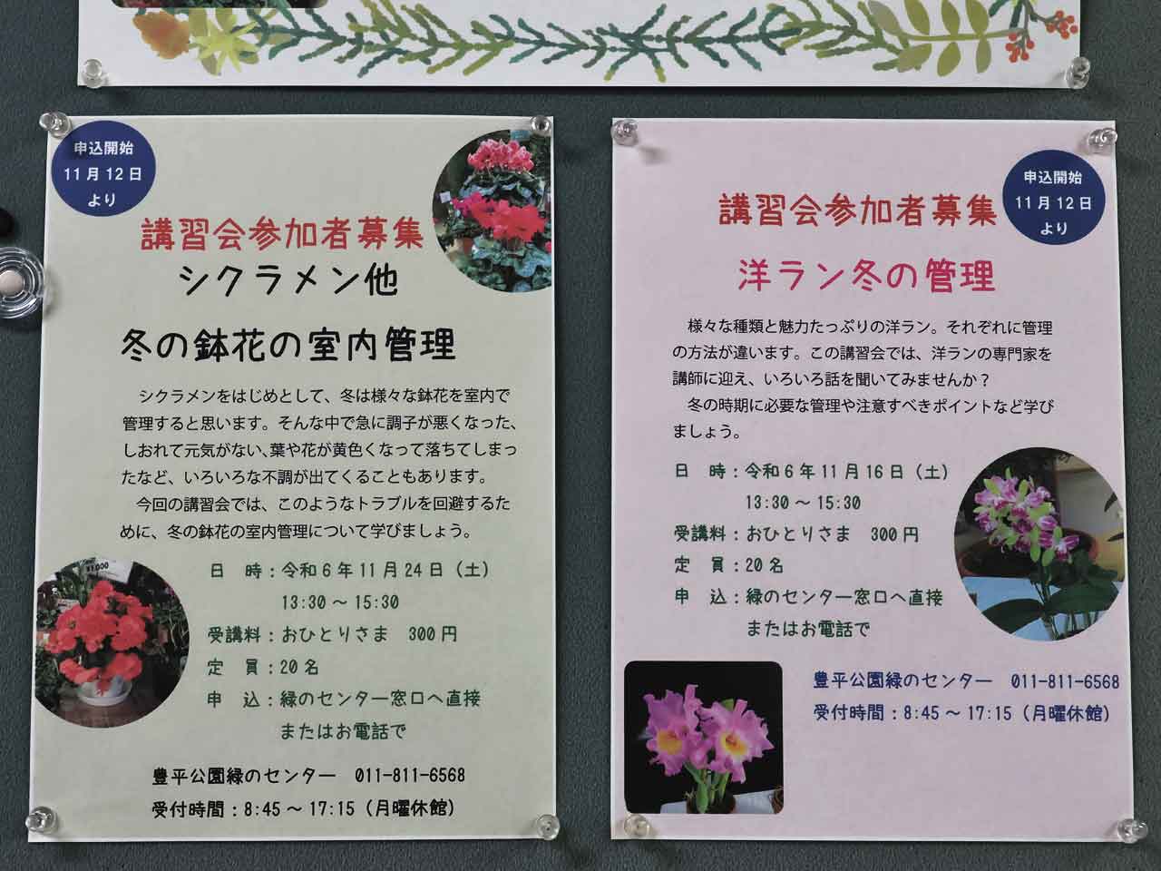 豊平公園、洋ラン展