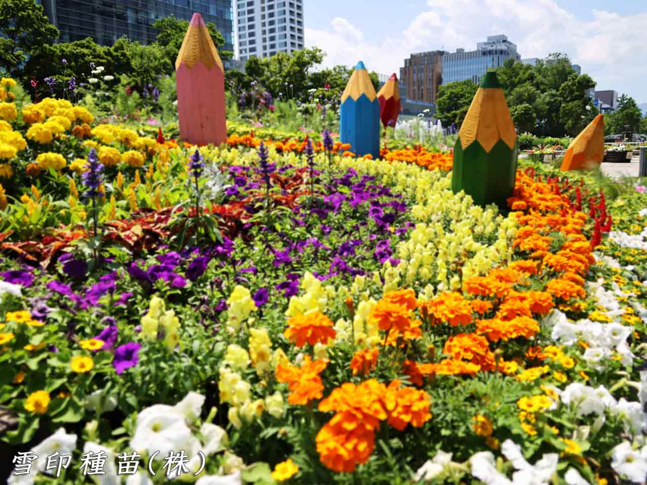 花フェスタ札幌、花壇コンクール
