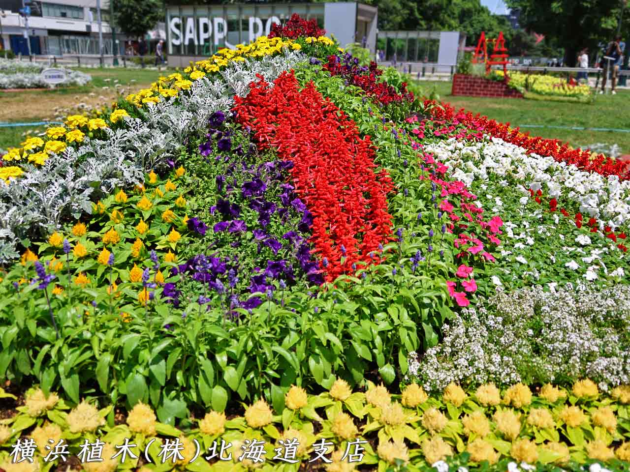 花フェスタ札幌、花壇コンクール
