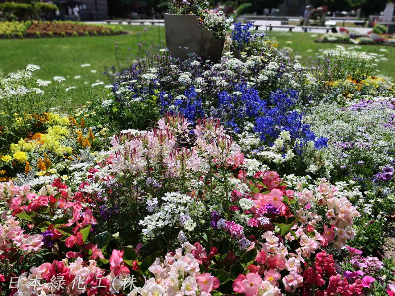 花フェスタ札幌、花壇コンクール