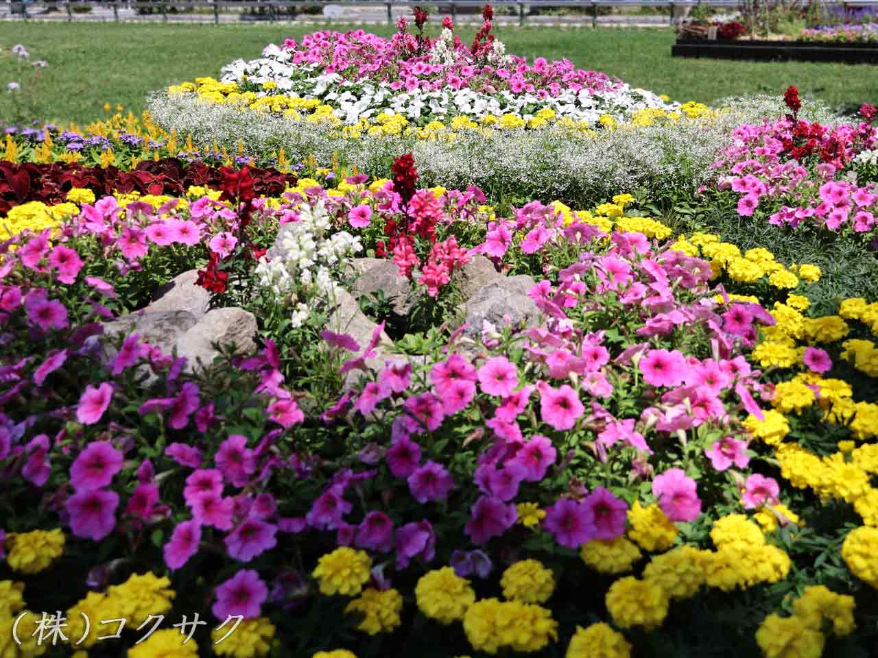 花フェスタ札幌、花壇コンクール