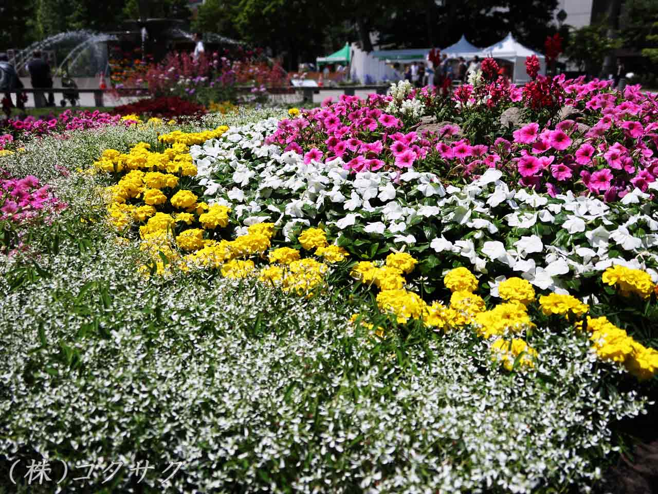 花フェスタ札幌、花壇コンクール