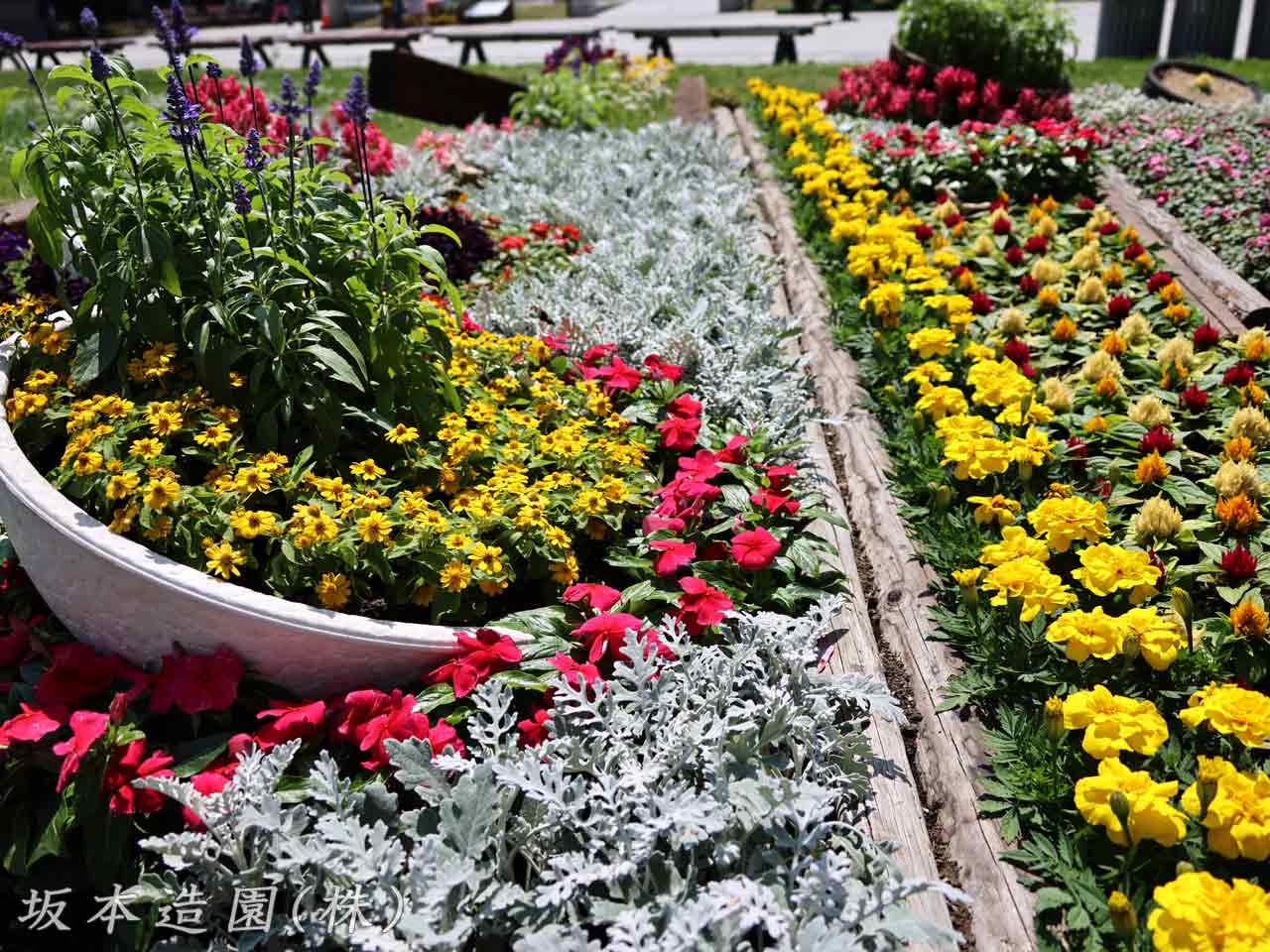 花フェスタ札幌、花壇コンクール