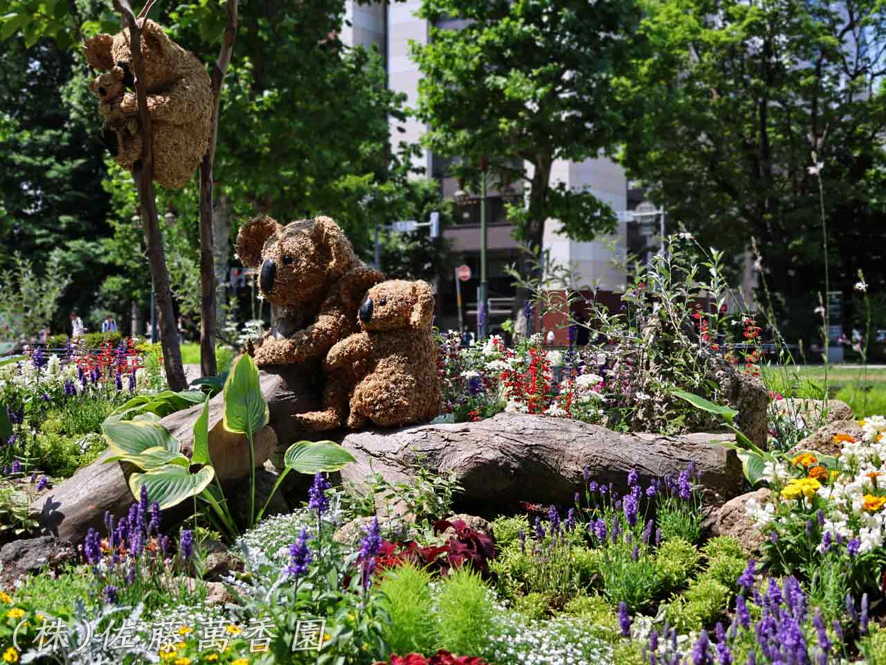 花フェスタ札幌、花壇コンクール