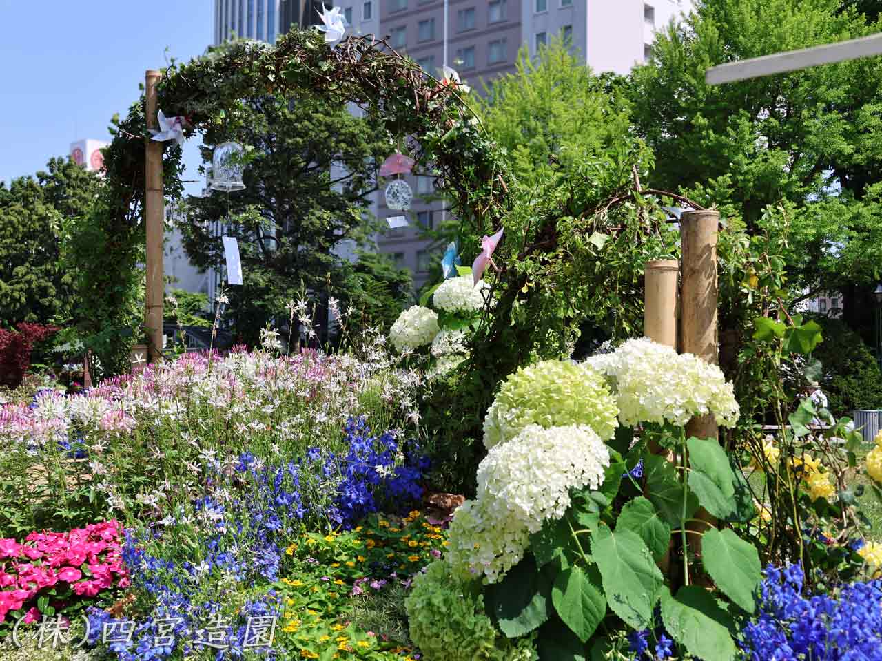 花フェスタ札幌、花壇コンクール