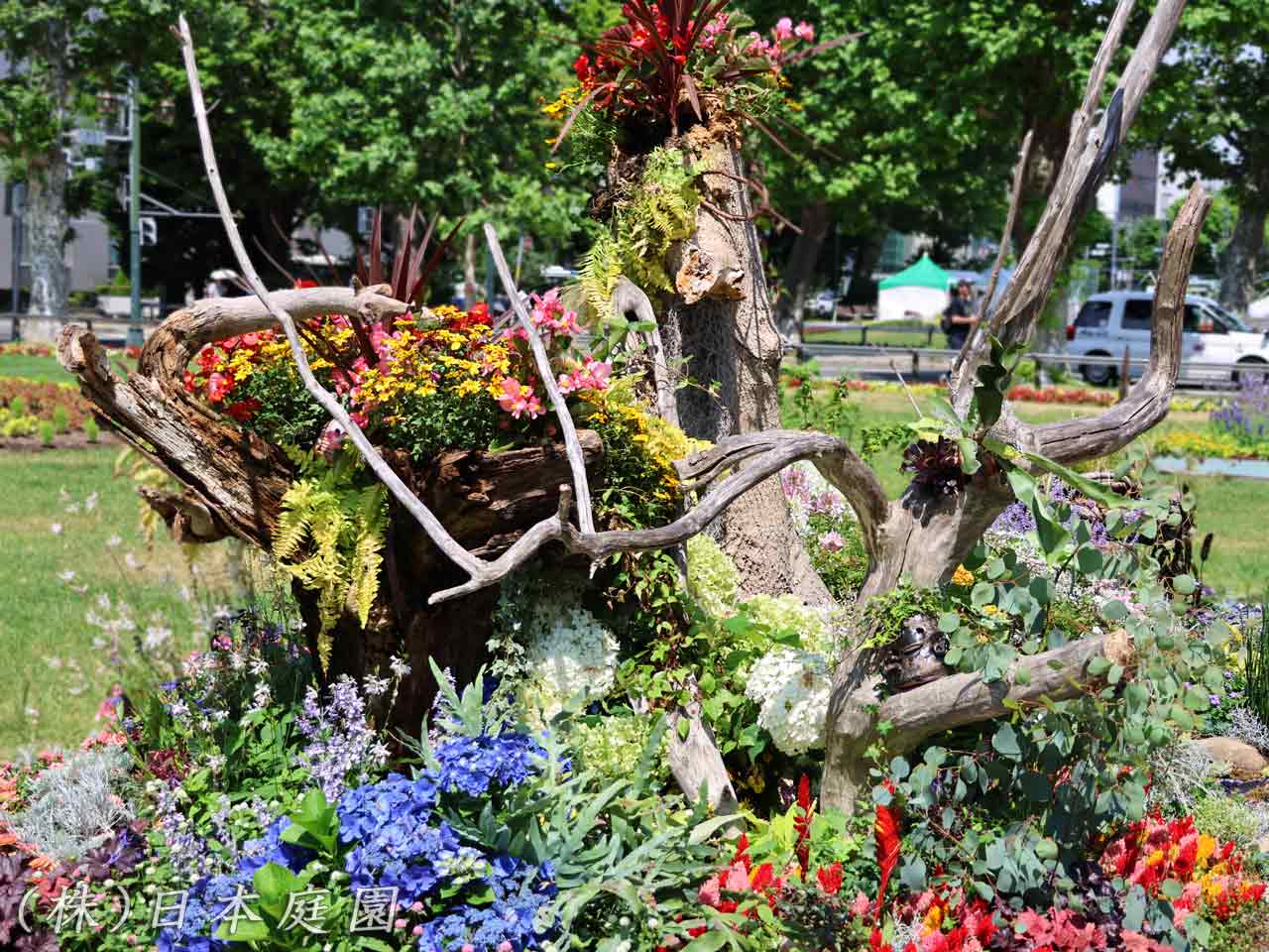 花フェスタ札幌、花壇コンクール