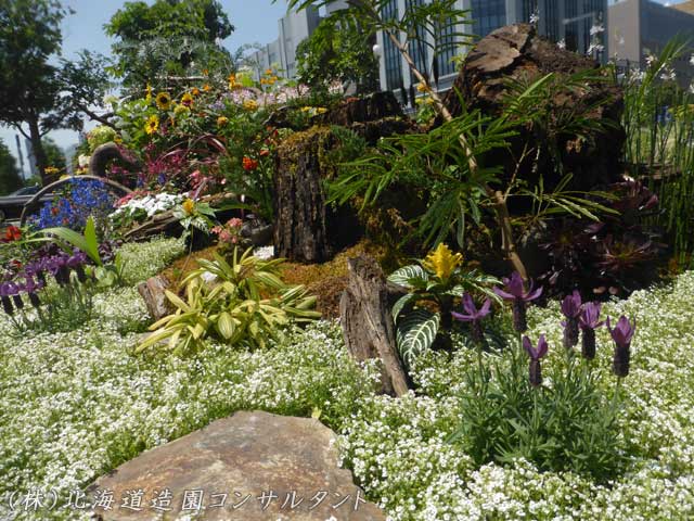 花フェスタ札幌、花壇コンクール