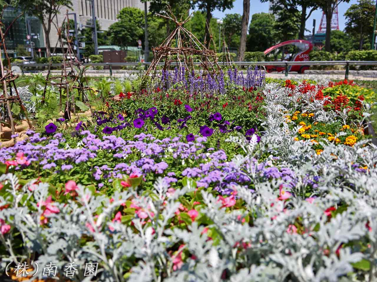 花フェスタ札幌、花壇コンクール