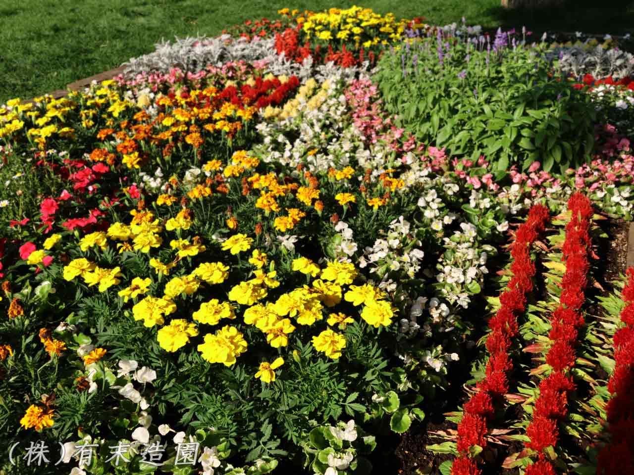 花フェスタ札幌、花壇コンクール