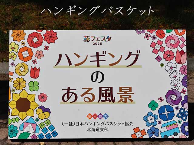 花フェスタ札幌、ハンギングバスケット