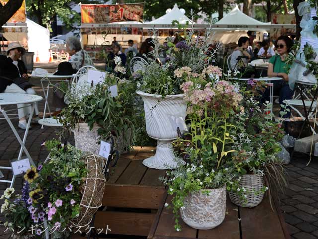 花フェスタ札幌、ハンギングバスケット