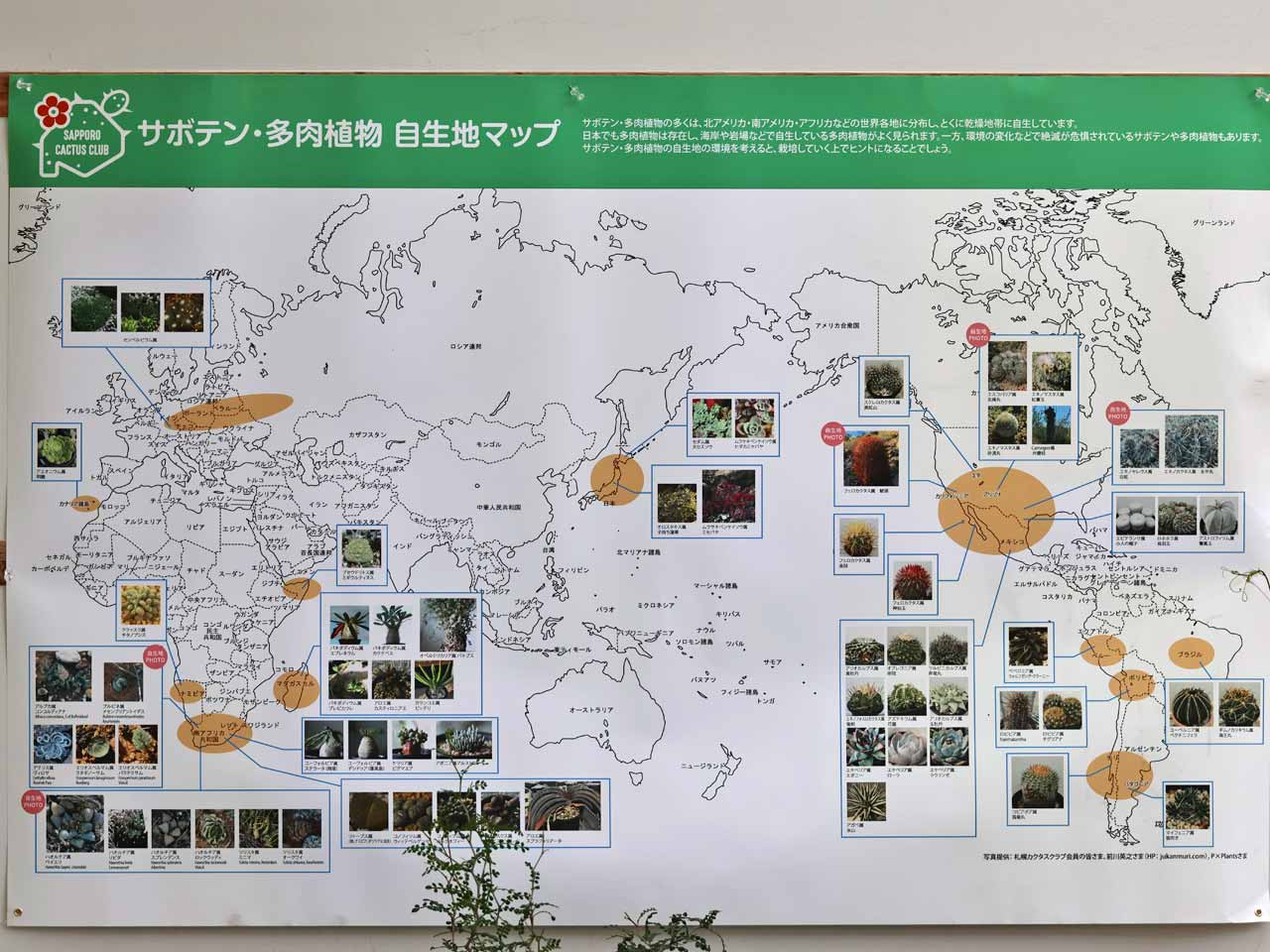 サボテン・多肉植物・自生マップ