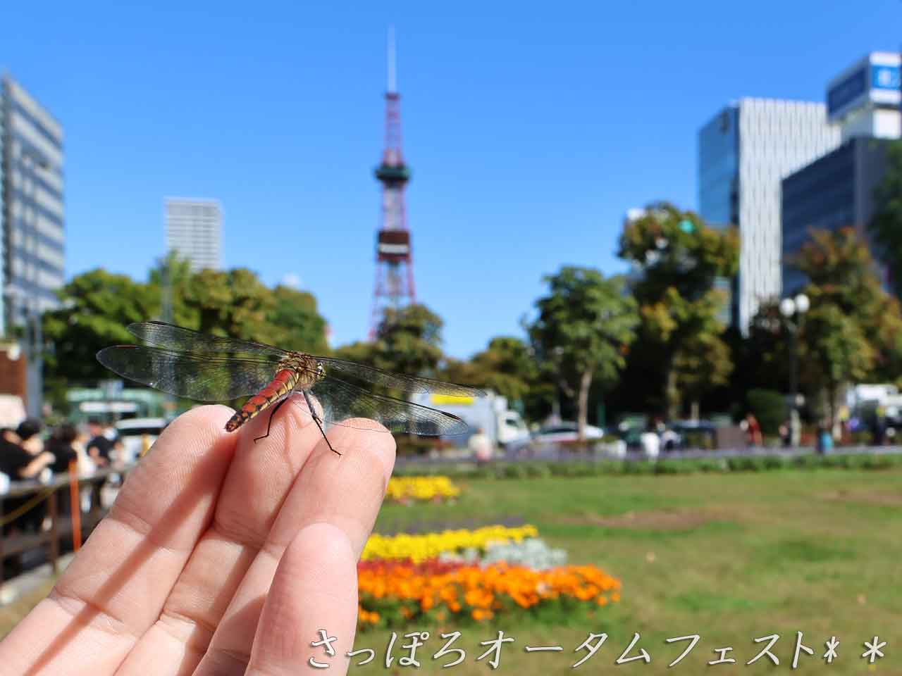 2025 さっぽろオータムフェスト､お肉じゅっ丁目､屋台紹介