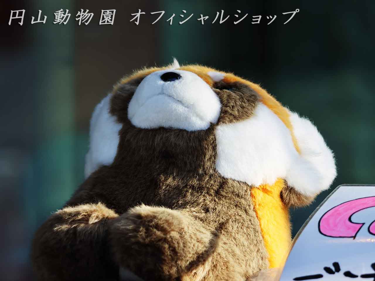 円山動物園オフィシャルショップ、入り口にレッサーパンダのぬいぐるみ