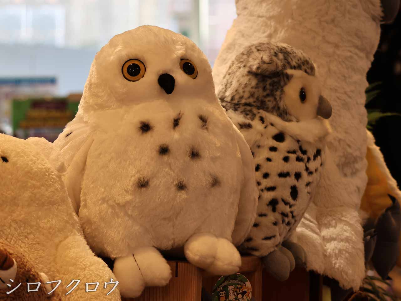ぬいぐるみシロフクロウ