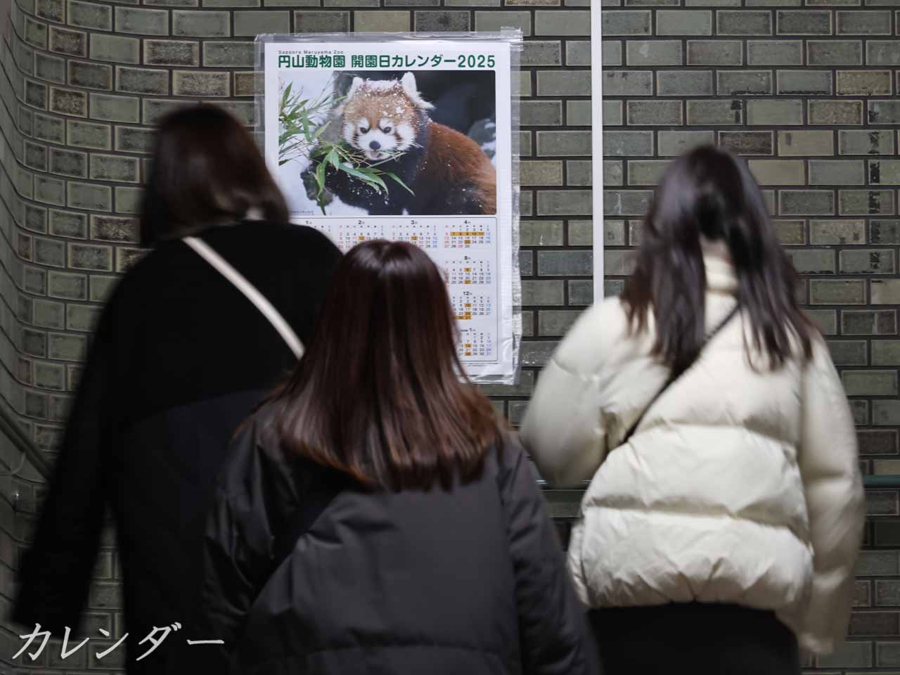 階段、円山動物園のカレンダー