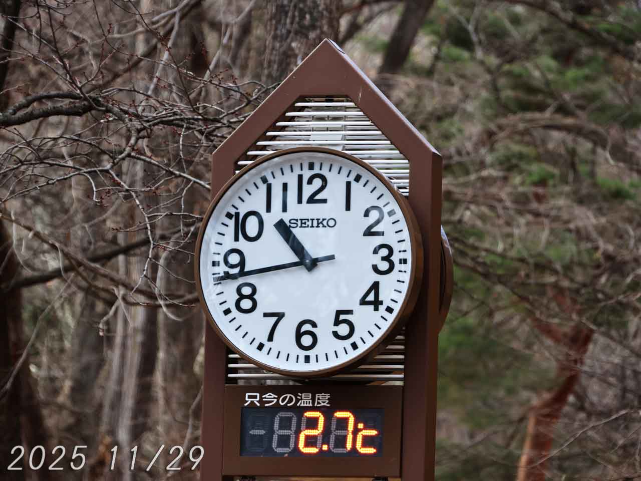 円山公園の時計(2)