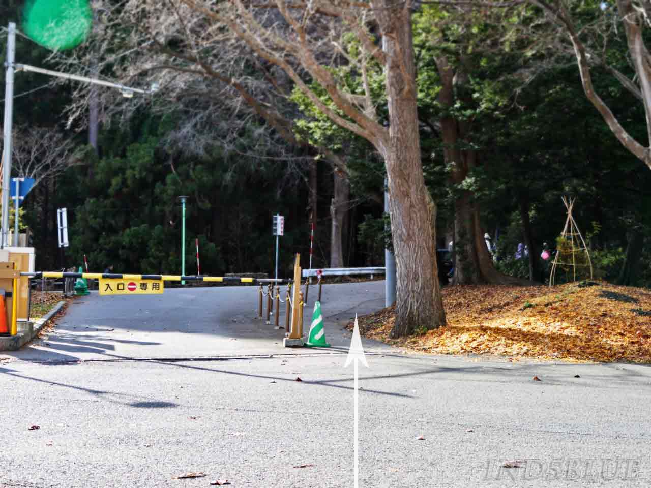 駐車場ポールの脇道