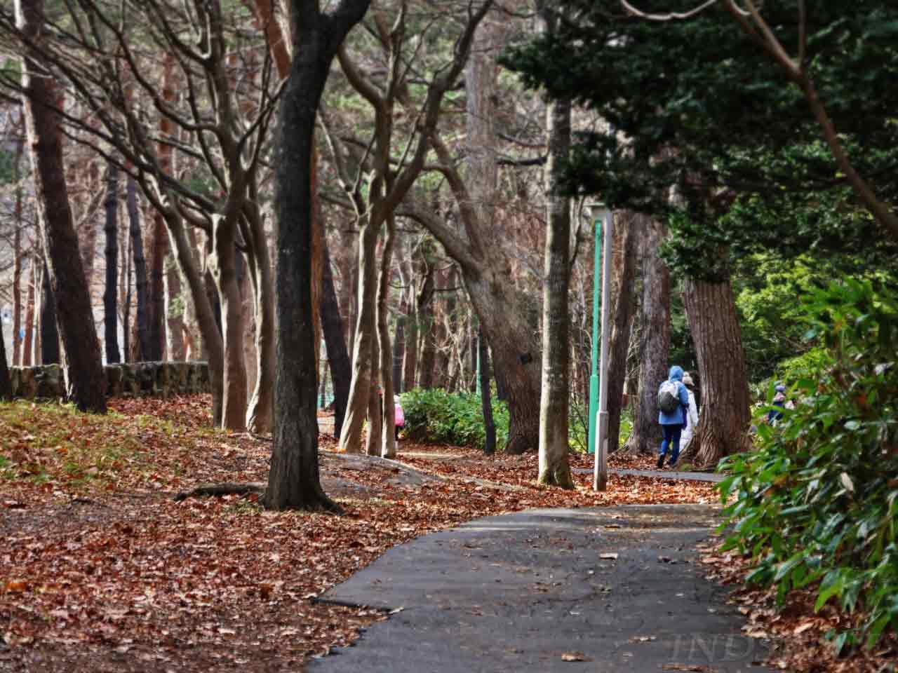 道がS字にカーブ