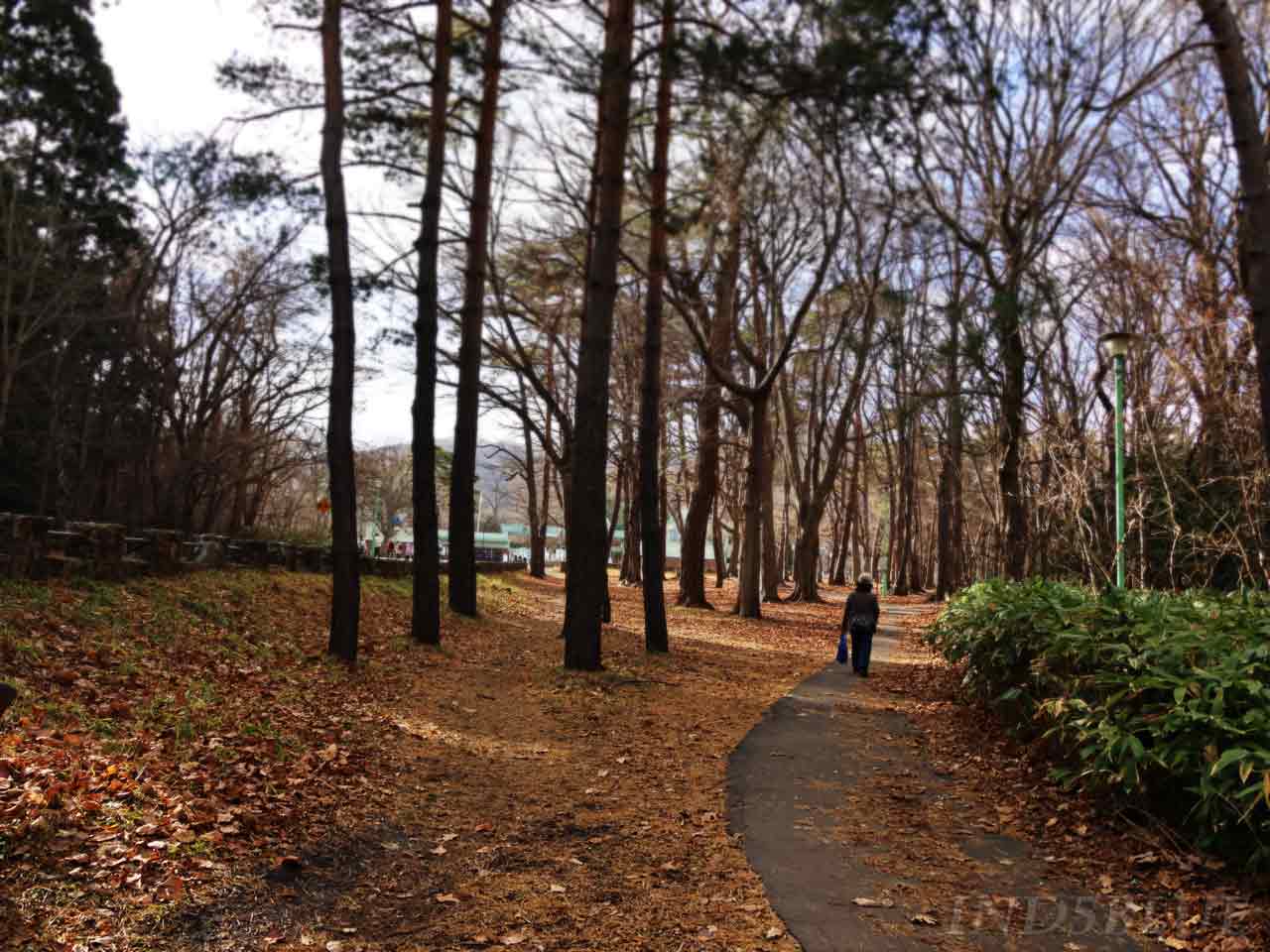 奥に水色の建物