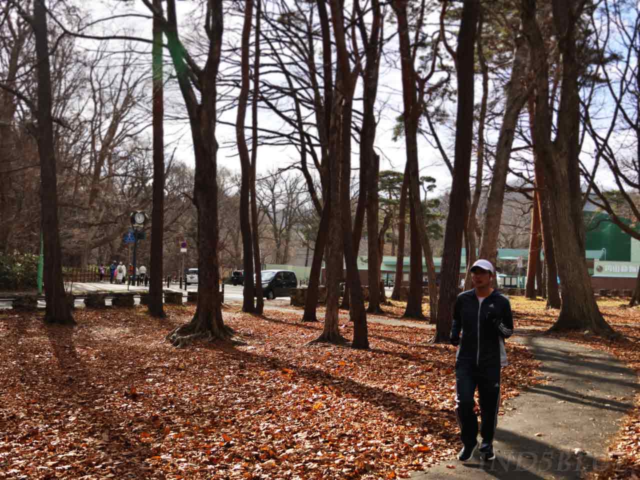 木々の間から円山動物園