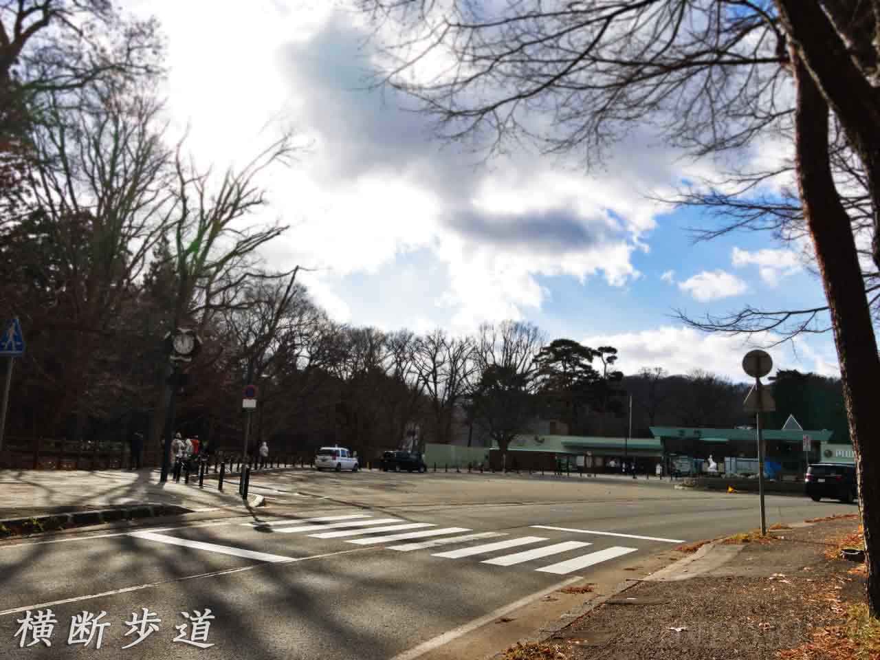 横断歩道