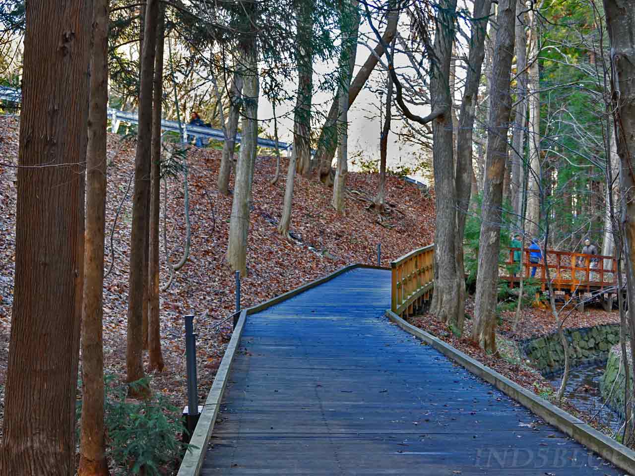 国道の下にある木道