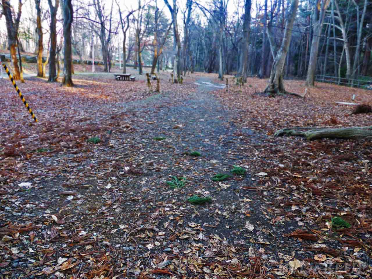 広々とした空間