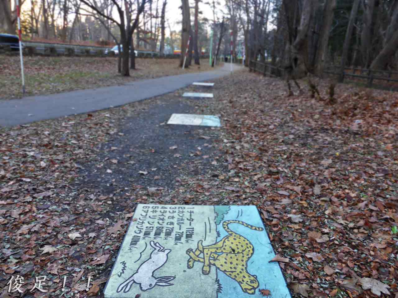 タイルに走るチーター