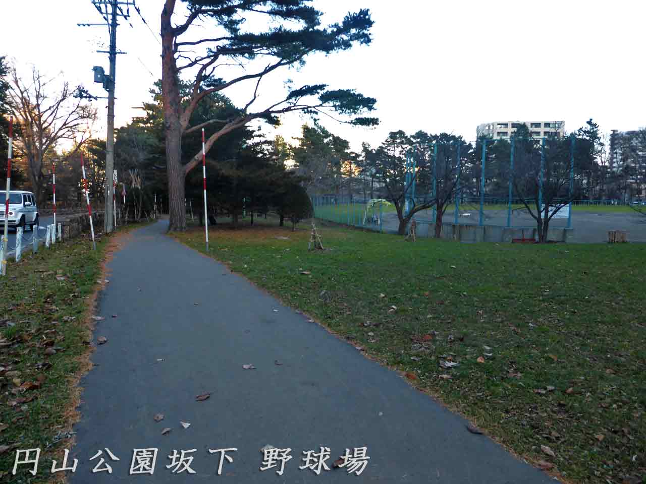 円山公園坂下野球場