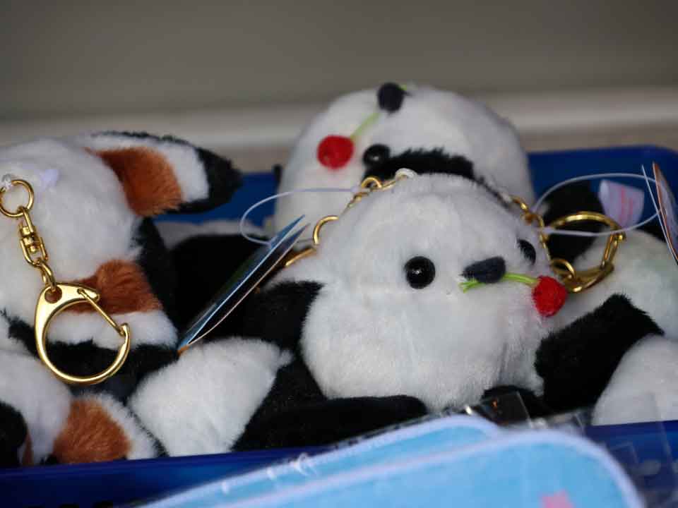 大通5丁目：道新 雪の広場、