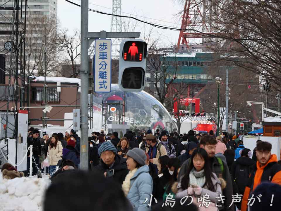 大通5丁目：道新 雪の広場、